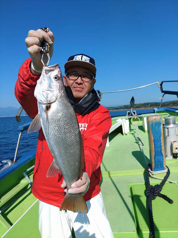 釣船浅八丸 - 湘南・平塚発 フィッシングエンターテイメント 釣船浅八丸 - 湘南・平塚発 フィッシングエンターテイメント
